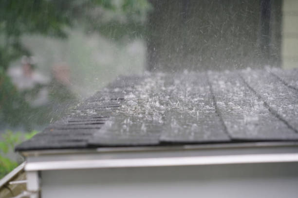 Best Chimney Flashing Repair  in Carbondale, KS